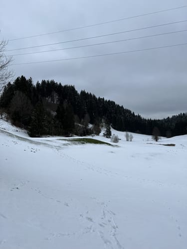 Buflings - Zell - Kalzhofen