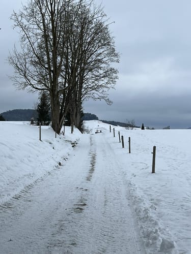 Buflings - Zell - Kalzhofen