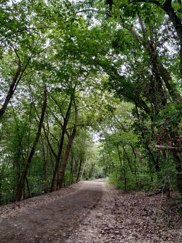 Volkspark Prenzlauer Berg Großer Weg