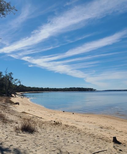 2023 Best 10 Trails and Hikes in Pensacola | AllTrails