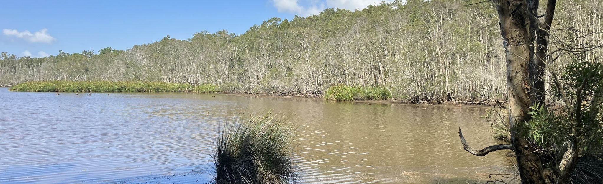 Lake Munmorah and Colongra Swamp Nature Reserve, New South Wales ...