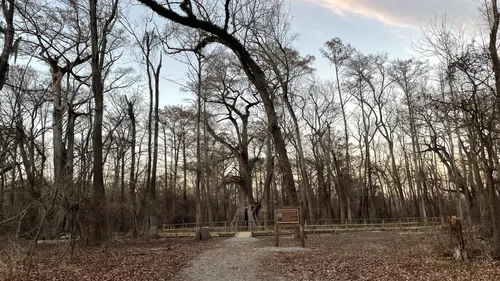 Best 10 Hiking Trails in Cat Island National Wildlife Refuge AllTrails