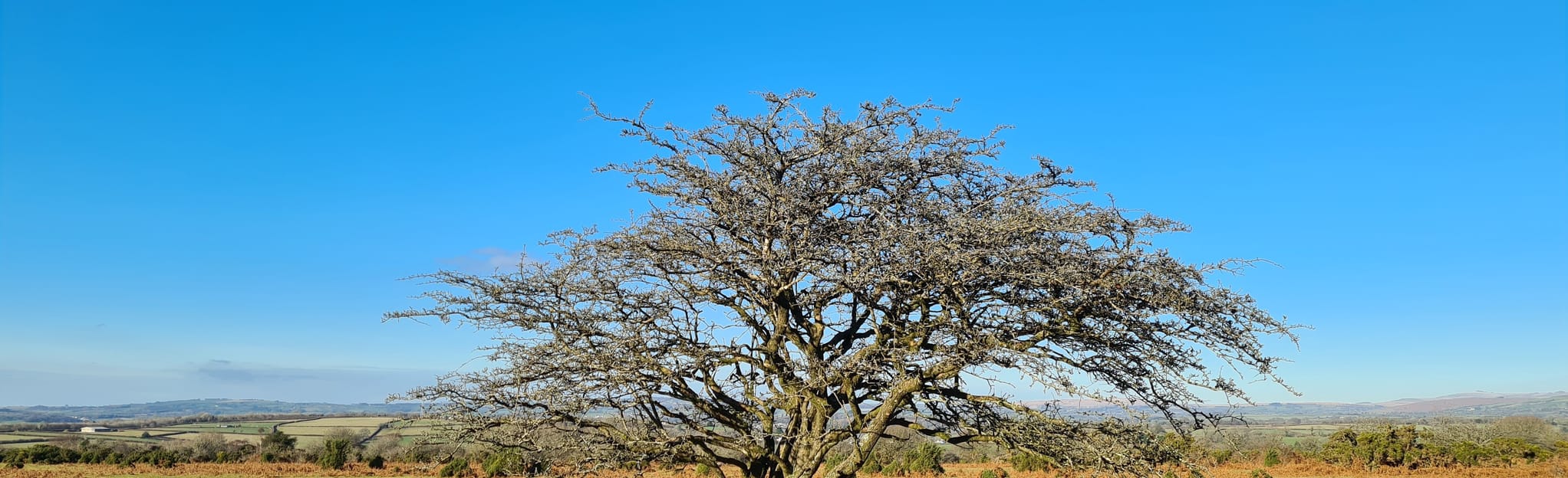 Buckland Monachorum and River Walkham Circular Map, Guide Devon