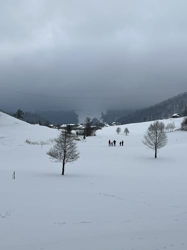 Buflings - Zell - Kalzhofen