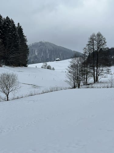 Buflings - Zell - Kalzhofen