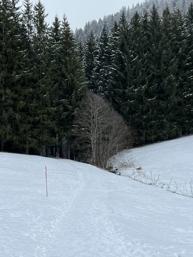 Buflings - Zell - Kalzhofen