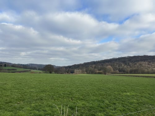 Um den Rehberg im Wannebachtal