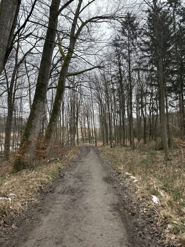 Um den Rehberg im Wannebachtal