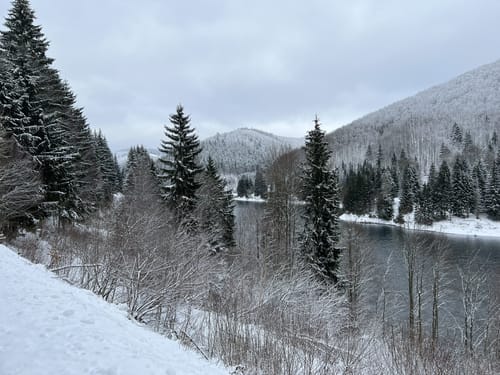 Um die Talsperre Schönbrunn