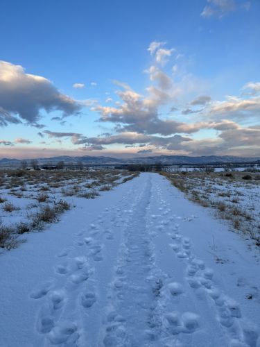 Best Hikes and Trails in Fossil Creek Reservoir Natural Area | AllTrails