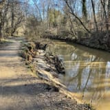 Edwin M. Griffin Nature Preserve, South Carolina - 371 Reviews, Map ...