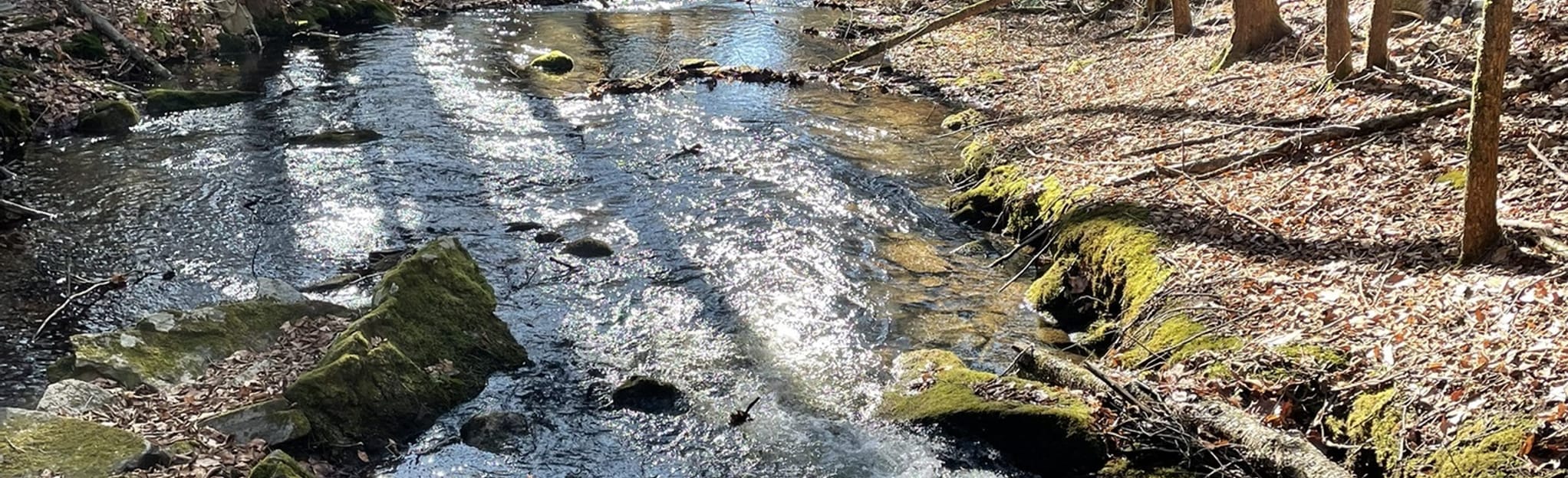 West Stafford Conservation Area Trails 55 Reviews, Map Connecticut
