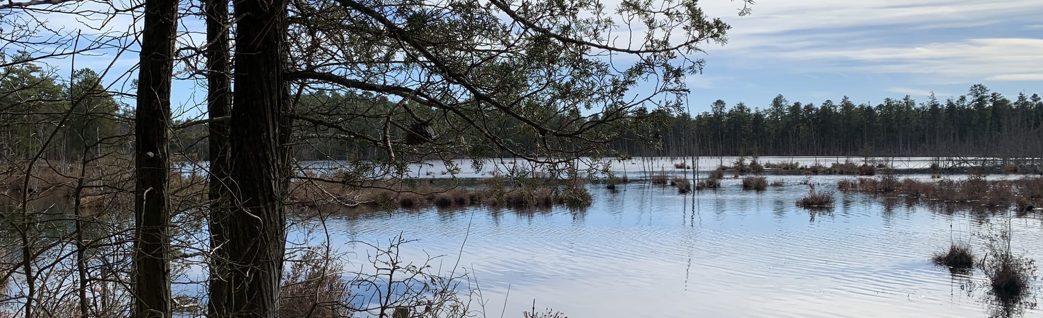 Goshen Pond Camping Area, New Jersey 98 Reviews, Map AllTrails