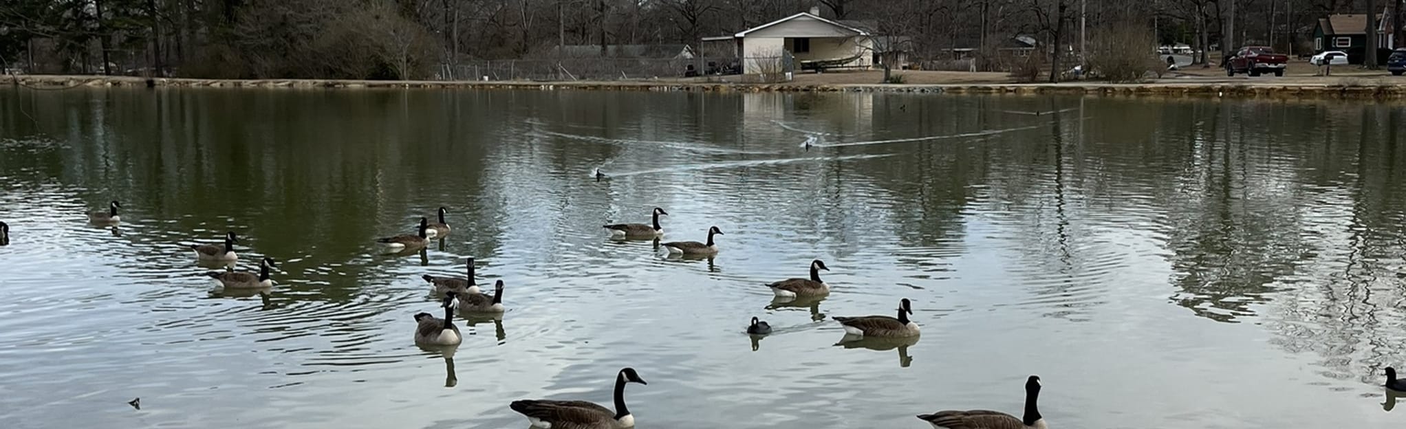 Lake Conasauga Trail, 30 Reviews, Map AllTrails