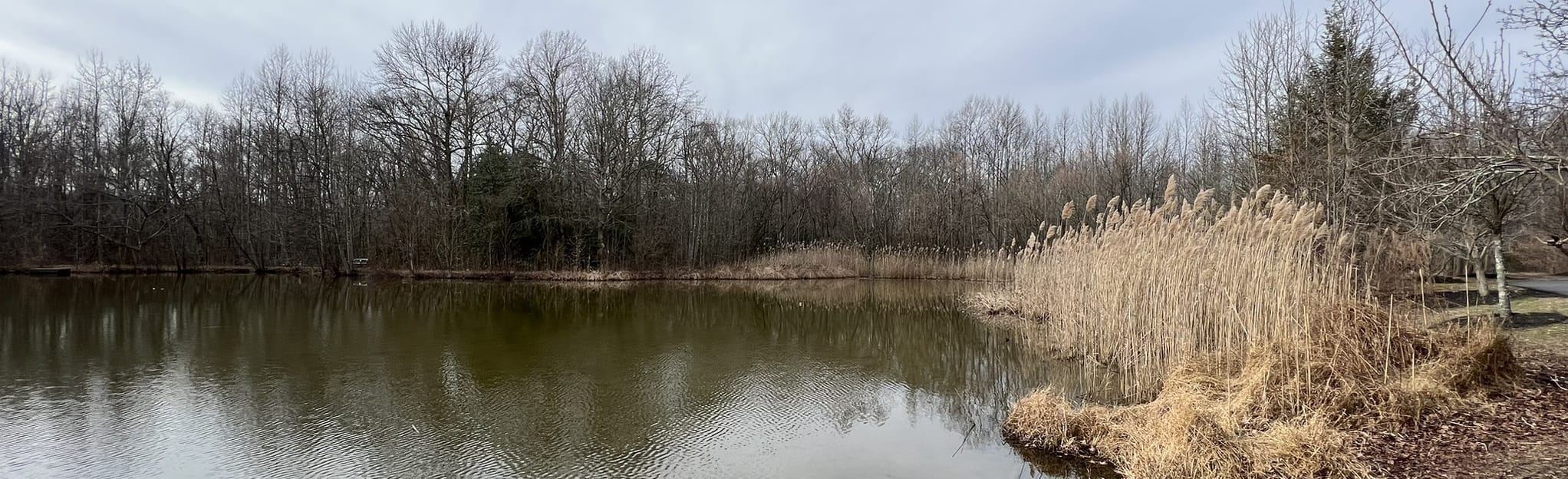 AllTrails Washington Lake Park Loop 352 Reviews, Map New Jersey