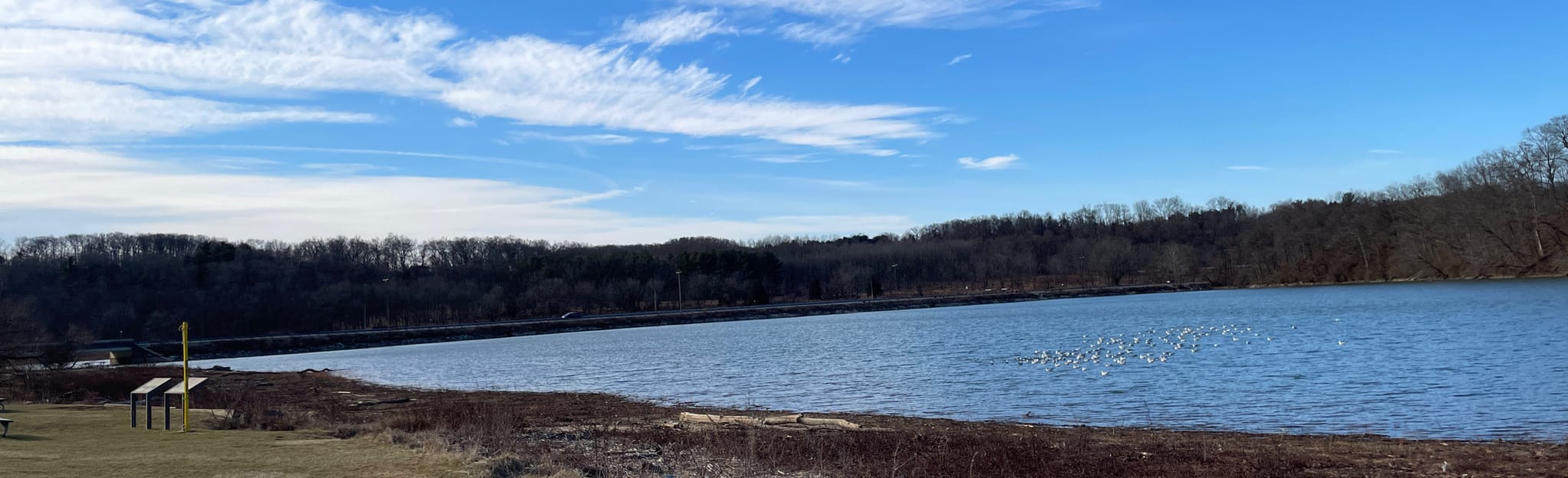 Lake Redman Trail 6 and 7 166 Reviews, 268 Photos, Map Pennsylvania AllTrails