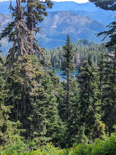 Best Hikes and Trails in Trapper Creek Wilderness | AllTrails