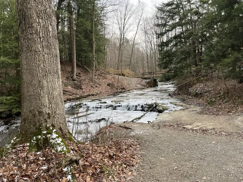 Bedford mountain cheap bike trail