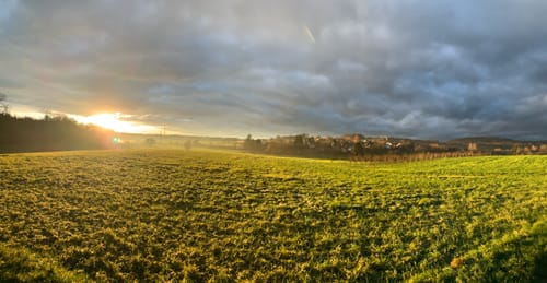 Nach Zell und durch den Plattenwald