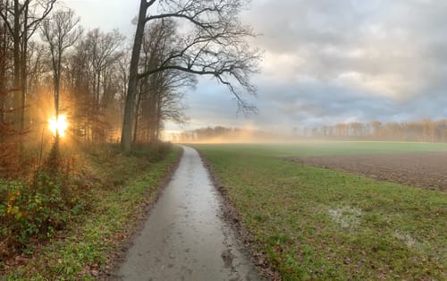 Nach Zell und durch den Plattenwald