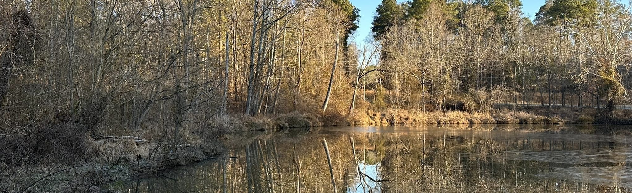 Kings Highway Trail, North Carolina 11 Reviews, Map AllTrails