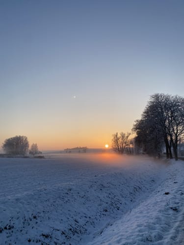 Zwischen Neuhofer See und Tempziner See