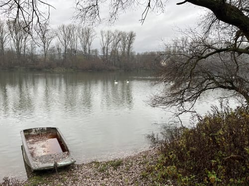 Frei-Weinheim am Rhein