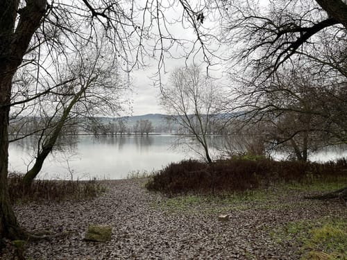 Frei-Weinheim am Rhein