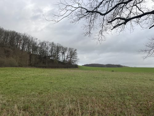 Eulenkopftour