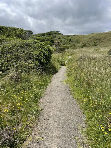 Best Hikes and Trails in Queen Elizabeth Park | AllTrails