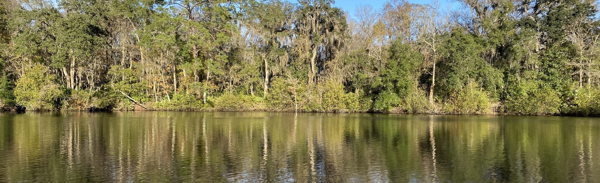 Black Creek Ravines White and Yellow Loop 339 Reviews, Map Florida