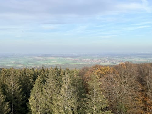Wennigser Mark - Annaturm Rundweg