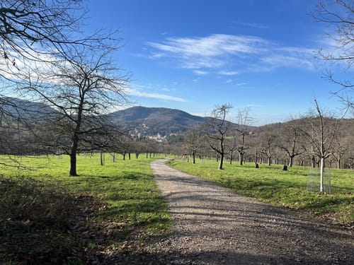 Panoramaweg Baden-Baden Etappe 1: Kurhaus - Talstation der Merkur-Bergbahn