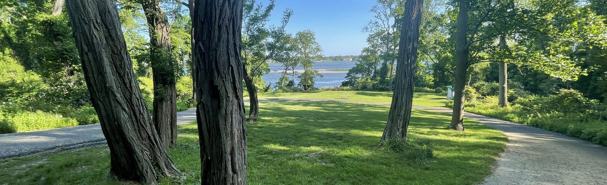 Cuesta Ridge, Grand Tour, Rocky Point and Battery Loop 172 Reviews