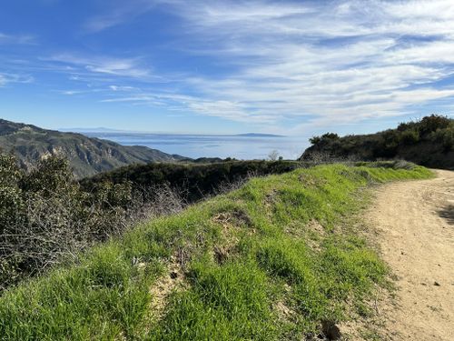 Best Hikes and Trails in Corral Canyon Park | AllTrails