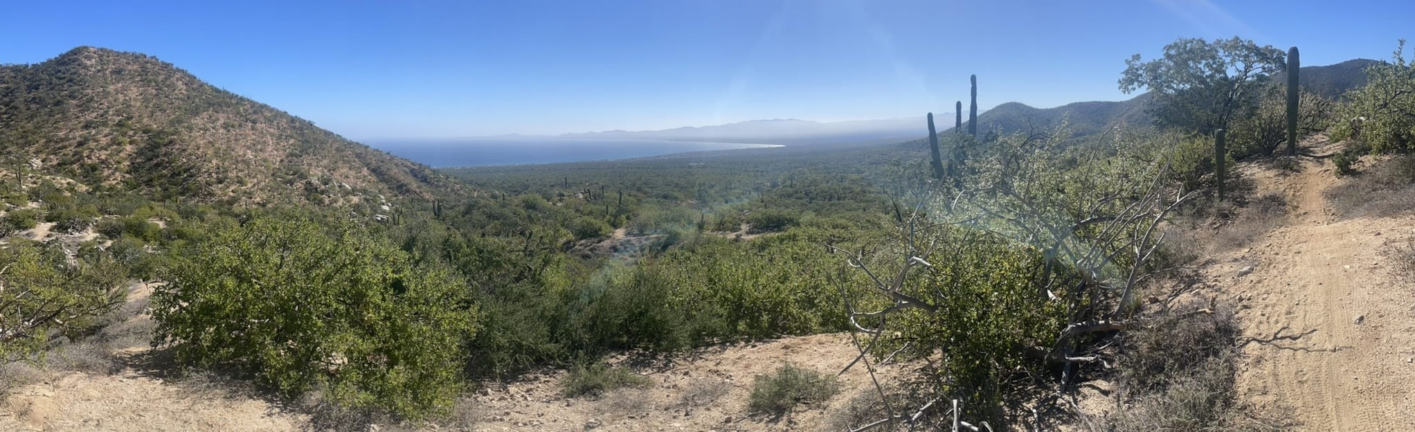 Sendero El Sargento 15 Fotos Baja California Sur, Mexiko Wandern