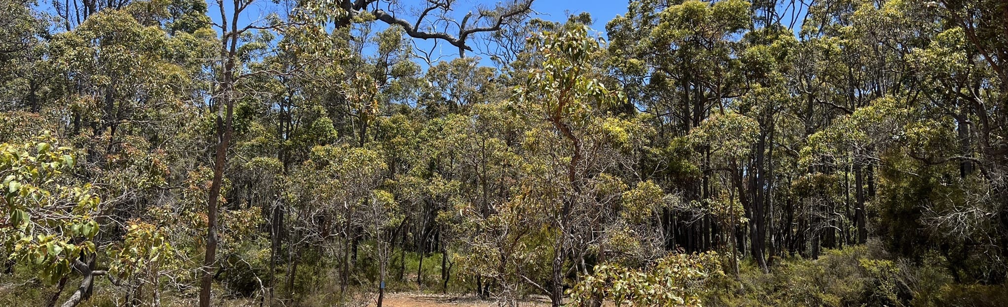 North Bramley National Park Circuit 47 Reviews, Map Western