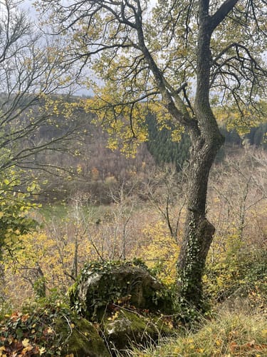 Sötenich: Wanderweg Nr. 6 Eifelverein