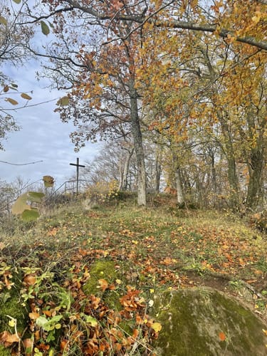 Sötenich: Wanderweg Nr. 6 Eifelverein
