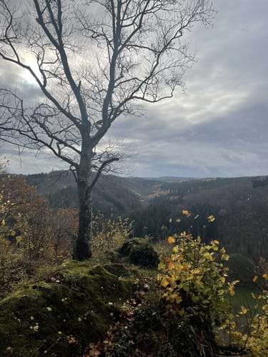 Sötenich: Wanderweg Nr. 6 Eifelverein