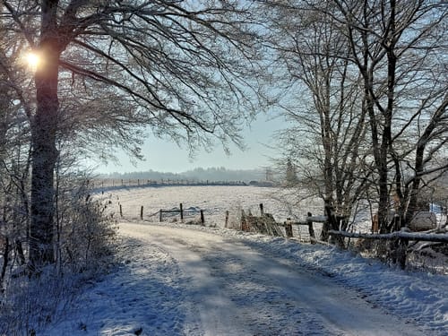 Durchs Grenzbachtal nach Werlenbach