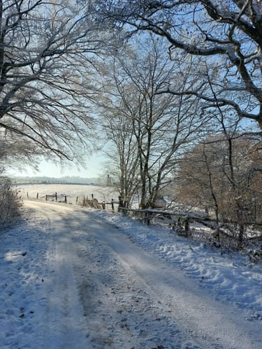 Durchs Grenzbachtal nach Werlenbach