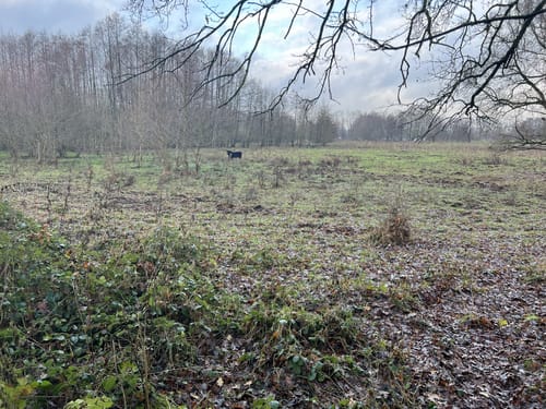 Rundweg Godau-Sepel