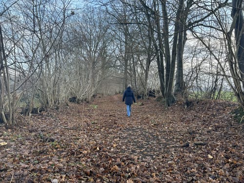 Rundweg Godau-Sepel