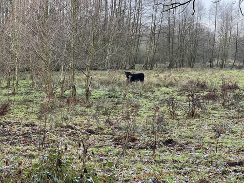 Rundweg Godau-Sepel