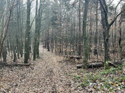 Rundweg Godau-Sepel