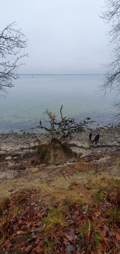 An der Küste bei Aschau