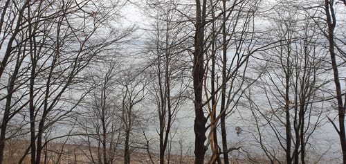 An der Küste bei Aschau