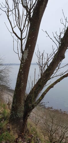 An der Küste bei Aschau
