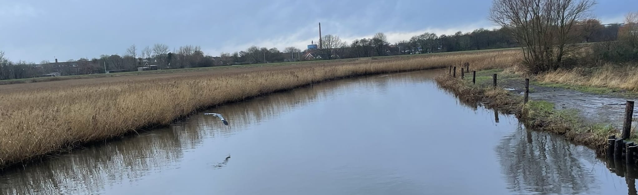 Skive Rundt 14 Fotos Region Midtjylland, Dänemark AllTrails